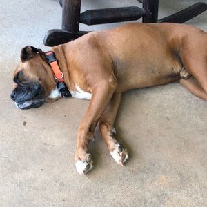 Meet your Posher, Leigh ann